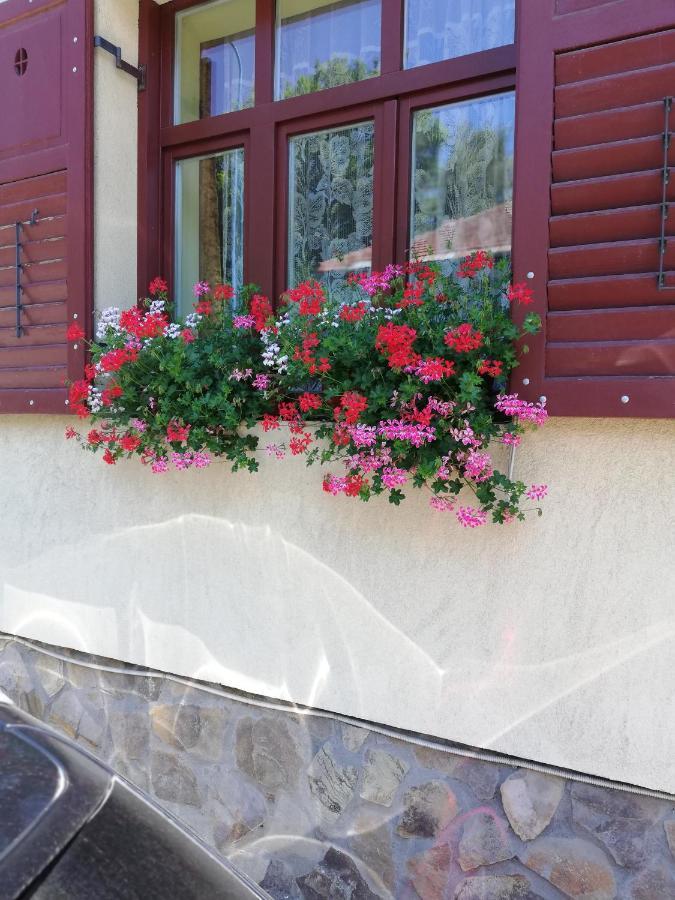 Apartament Roza Brasov Ngoại thất bức ảnh