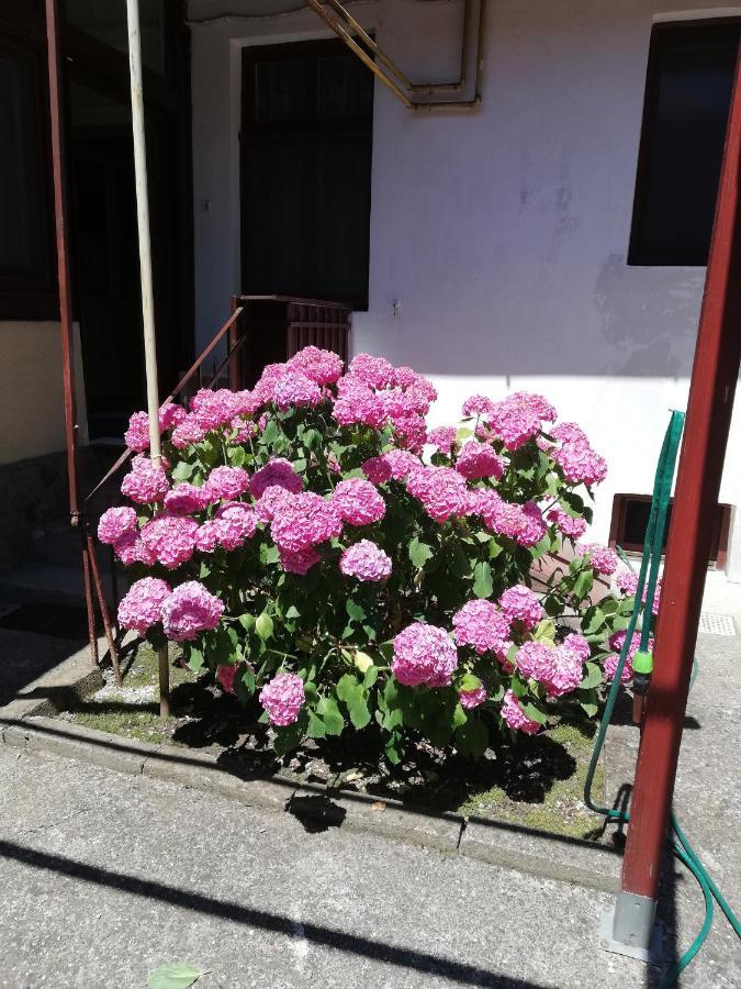 Apartament Roza Brasov Ngoại thất bức ảnh