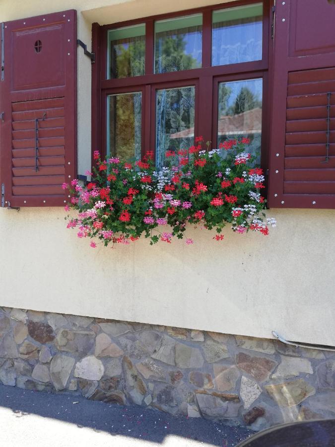 Apartament Roza Brasov Ngoại thất bức ảnh