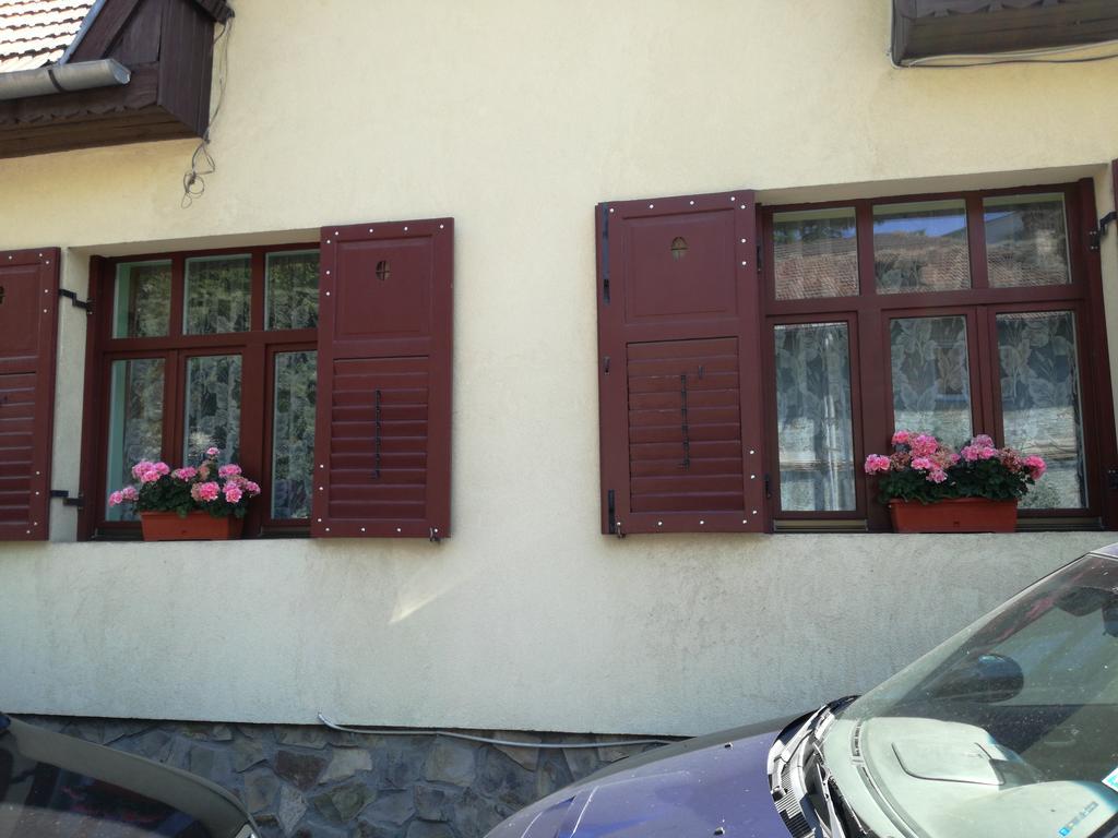 Apartament Roza Brasov Ngoại thất bức ảnh