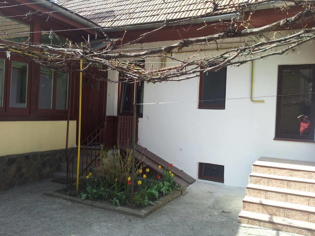 Apartament Roza Brasov Ngoại thất bức ảnh